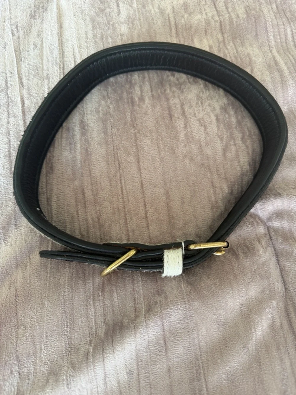 Myra Bag Black and White Cowhide Leather Dog Collar with Gold Hardware